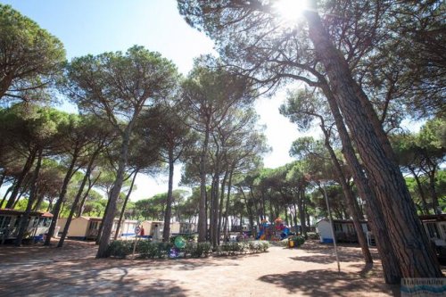 Camping Village Pineta sul Mare