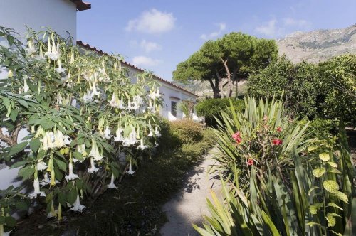 Park Terme Mediterraneo