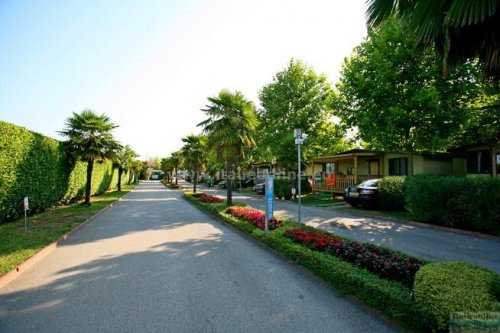 Butterfly Camping Village