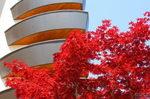 Condominio Torre Bahia