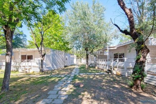 Marina Family Resort