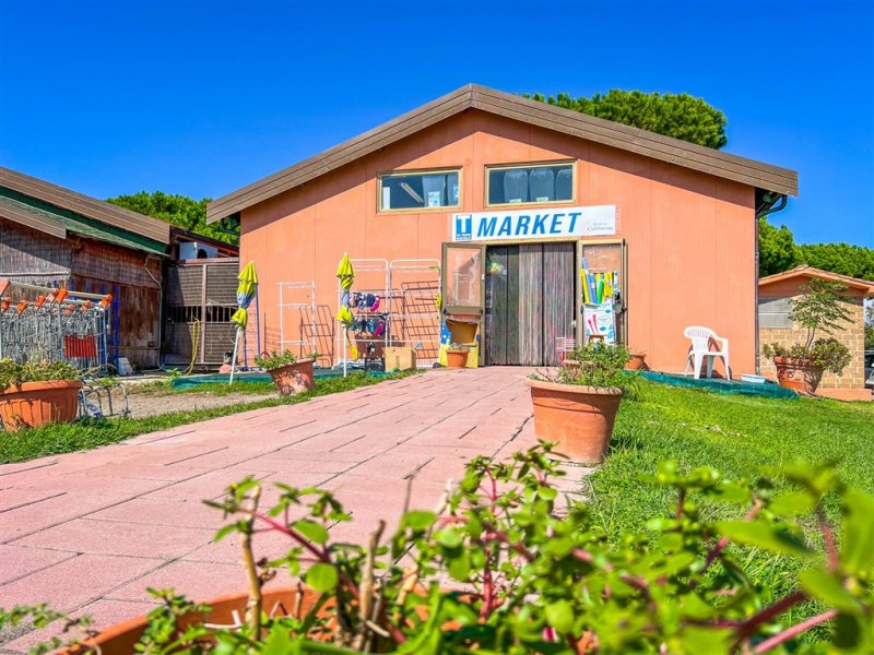 Mobilní domky kemp Gitavillage California