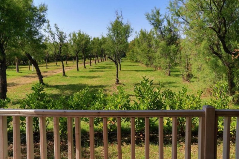 Mobilní domky kemp Torre Rinalda Beach