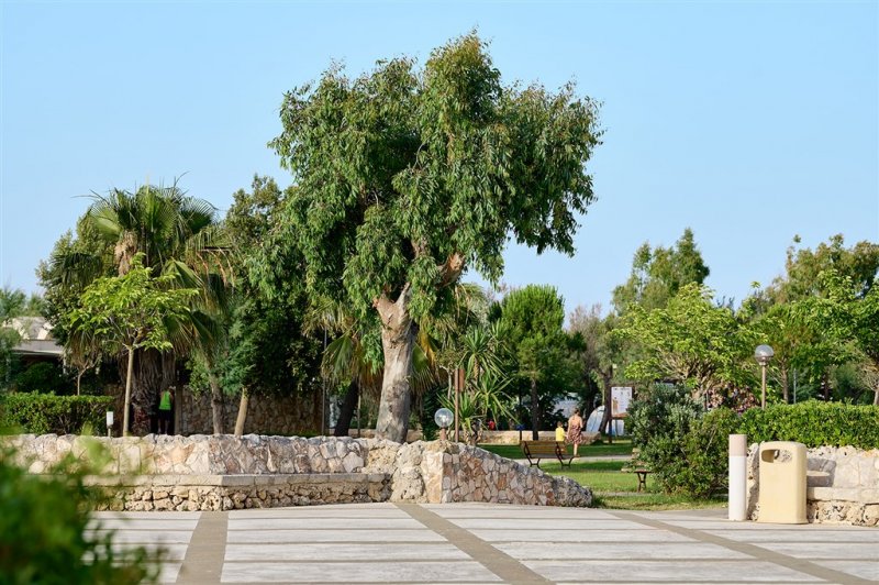 Mobilní domky kemp Torre Rinalda Beach