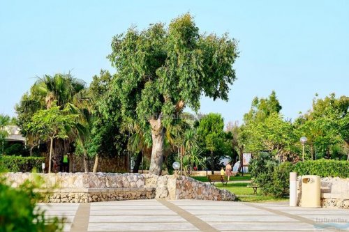 Torre Rinalda Happy Camp