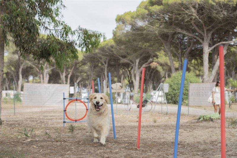 Mobilní domky kemp S'ena Arrubia