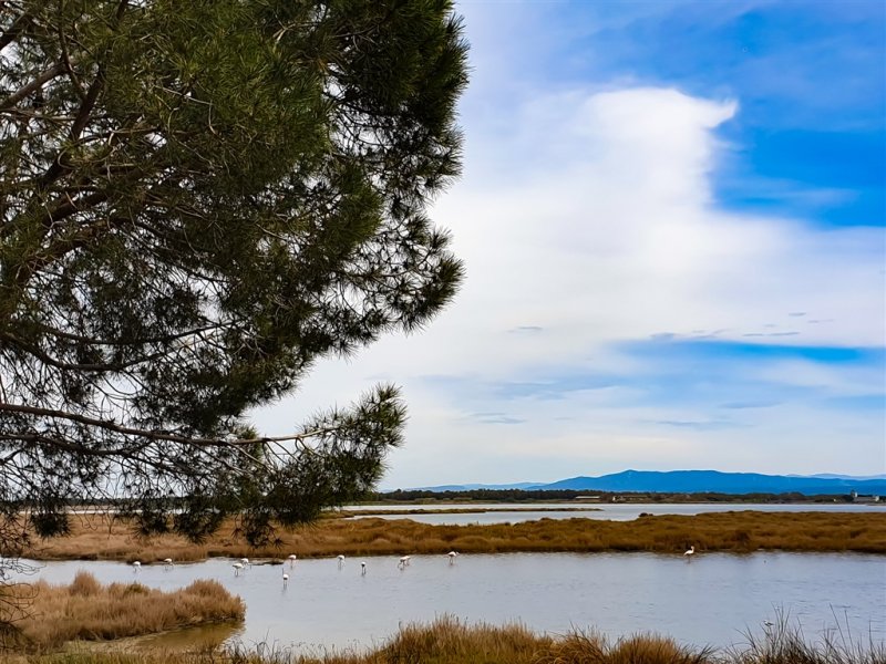 Mobilní domky kemp S'ena Arrubia