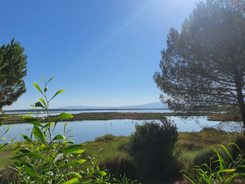 Mobilní domky kemp S'ena Arrubia