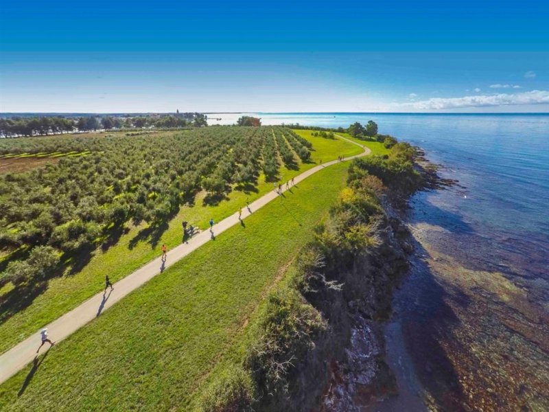 Aminess Sirena Campsite