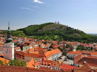 Pálavské vrchy a Mikulov s vůní levadule