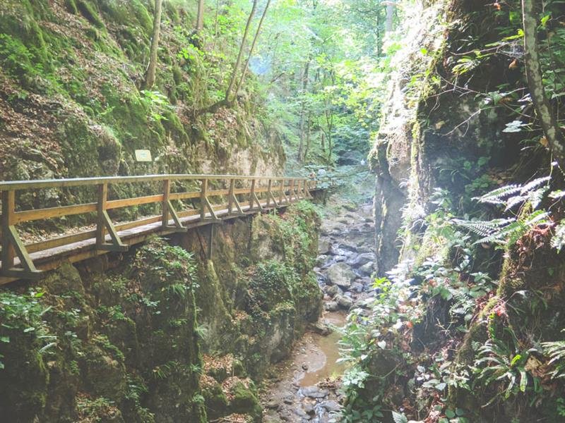 Schneeberg a Jánská soutěska