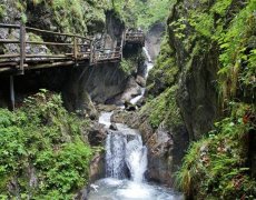 Divoká ptačí soutěska