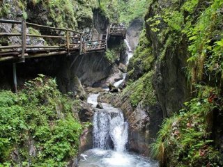 Divoká ptačí soutěska