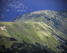NP Nízké Tatry - návrat k divočině
