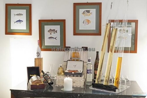 Europa Hotel Design SPA 1877