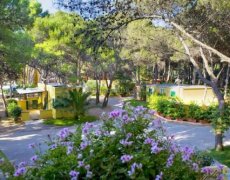 Camping La Vecchia Torre