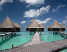 COCO PALM DHUNI KOLHU 5