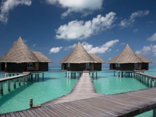 COCO PALM DHUNI KOLHU 5