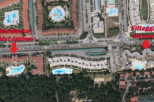 Villaggio Girasoli e Calycanthus