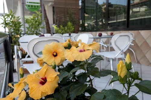 Hotel Scarlet Marina Centro