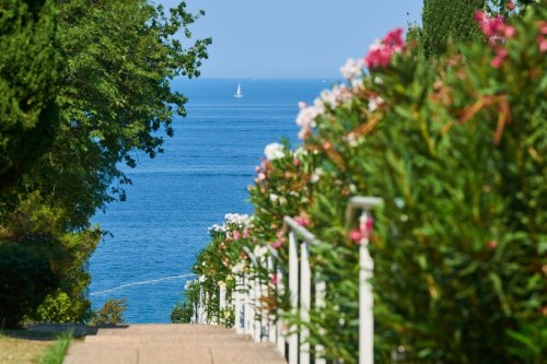 Apartmány Bellevue Plava Laguna