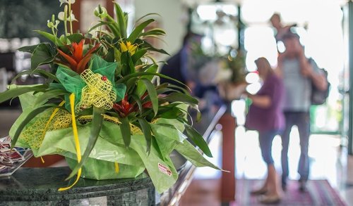 Hotel Platinum Rimini Torre Pedrera