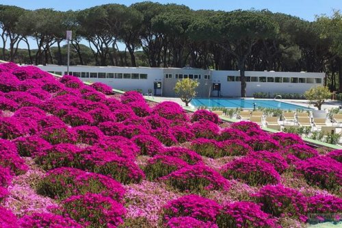 Camping Village Roma Capitol