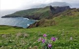 MADEIRA - SILVESTR, zábava i lehká turistika