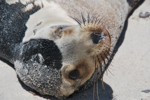Ekvádor a Galapágy