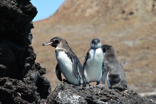 Ekvádor a Galapágy