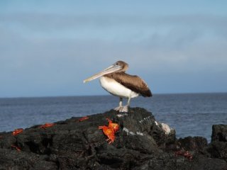 Ekvádor a Galapágy Ekvádor a Galapágy