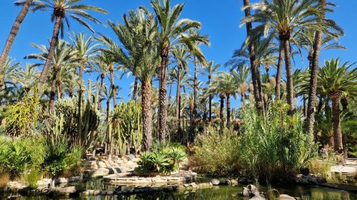 Krásy Andalusie, Elche, Caravaca de la Cruz - autobusem