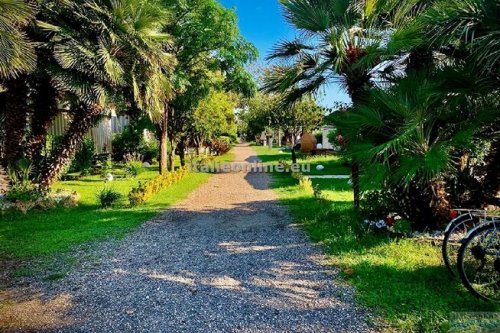 Camping Village Tuscia Tirrenica