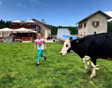 Hotel Malga Millegrobbe