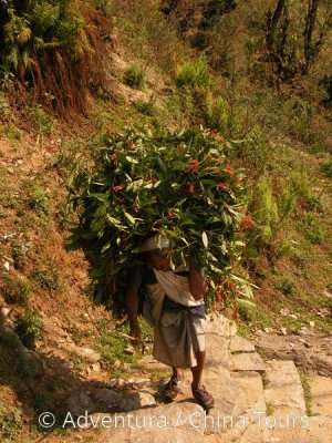 Nepál – Vánoce a Silvestr s turistikou