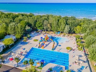 Kemp Stork Family Collection