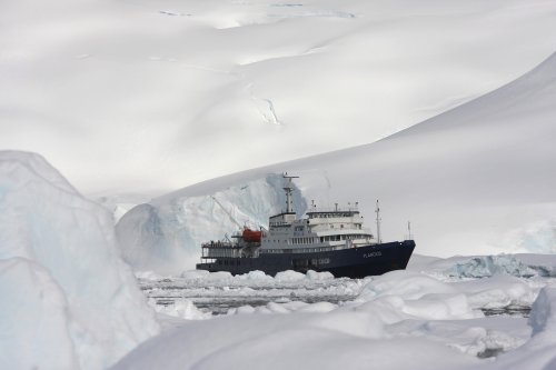 Elephant Island, Weddell Sea, Polar Circle (m/v Plancius)