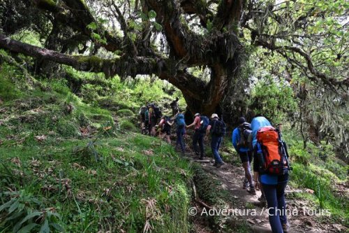 Tanzanie – silvestrovský výstup na Kilimandžáro