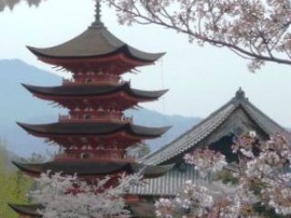 Japonsko 2026 Japonsko 2026