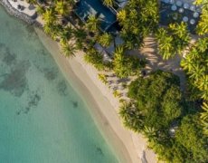 The Ravenala Attitude