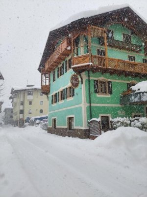 Hotel Alpina