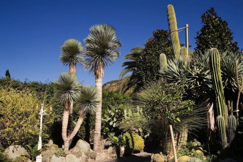 Hotel a depandance Mediterraneo