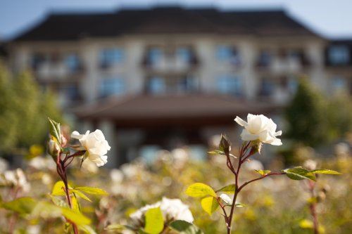 Hotel Greenfield Golf a Spa