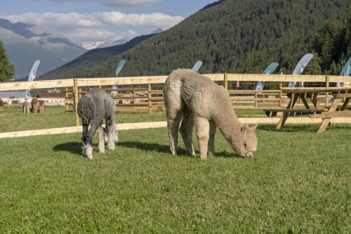 Residence Nira Mountain Resort Futura