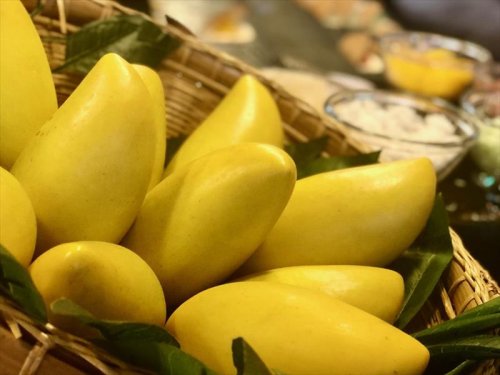 Velký Okruh Vietnamem S Pobytem U Moře