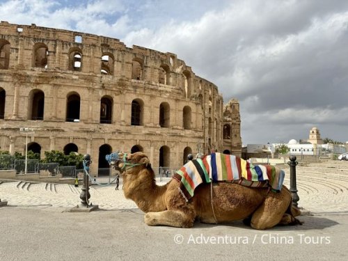 Tunisko – Silvestr na velbloudech