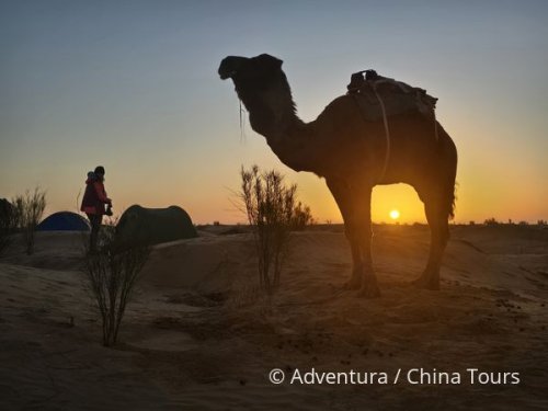 Tunisko – Silvestr na velbloudech