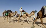 Tunisko – Silvestr na velbloudech