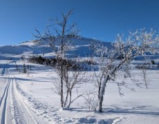 ZIMNÍ NORSKO - KOMFORT HOTELU A GARANCE SNĚHU