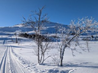 ZIMNÍ NORSKO - KOMFORT HOTELU A GARANCE SNĚHU